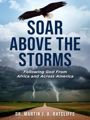 cover image of Soar Above the Storms